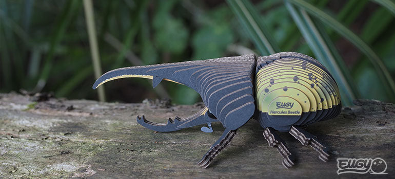 EUGY Hercules Beetle