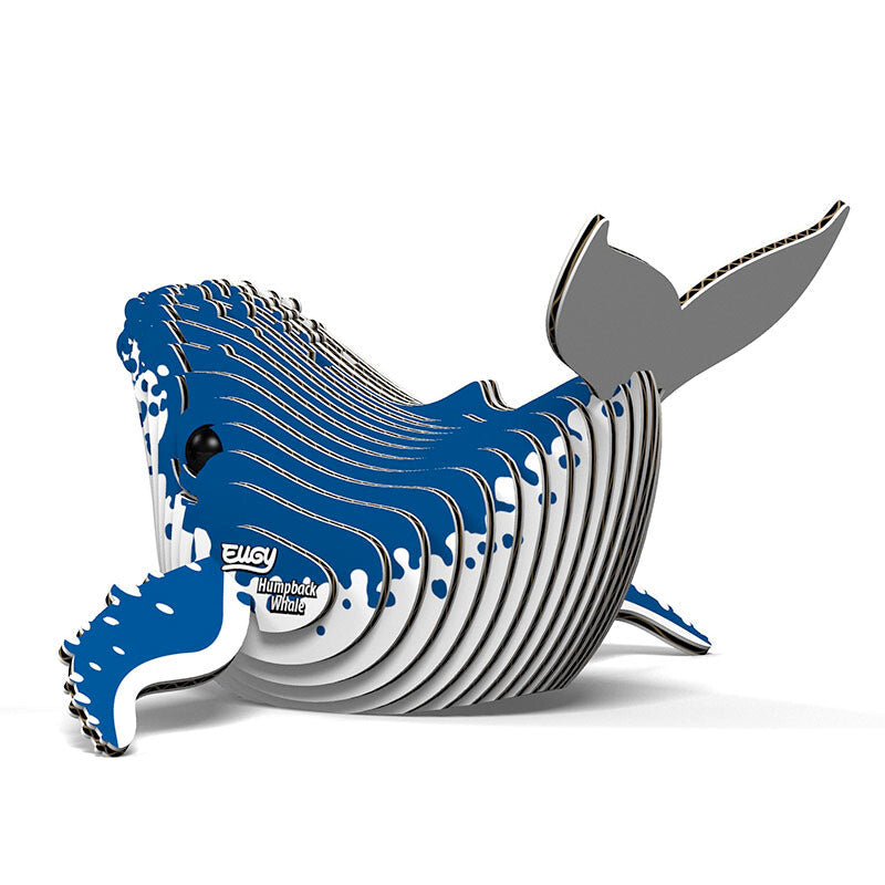 EUGY Humpback Whale