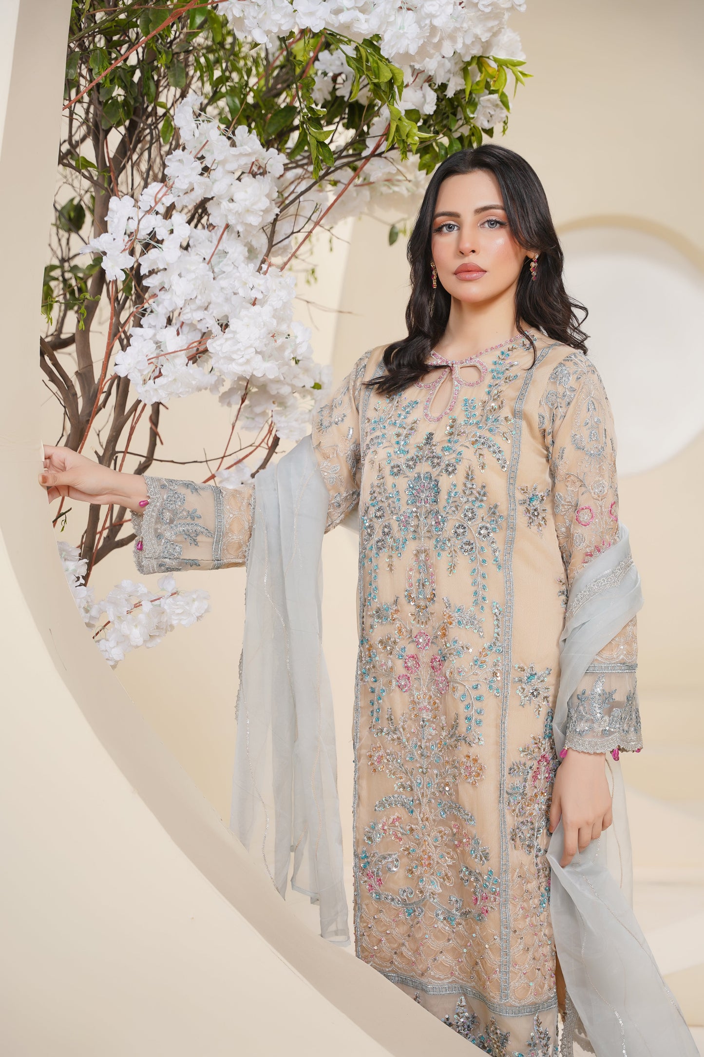 Tehwar - Luxury Organza Outfit - Festive Collection - Ready to Wear - V7 - D1 - Eid25 - 1