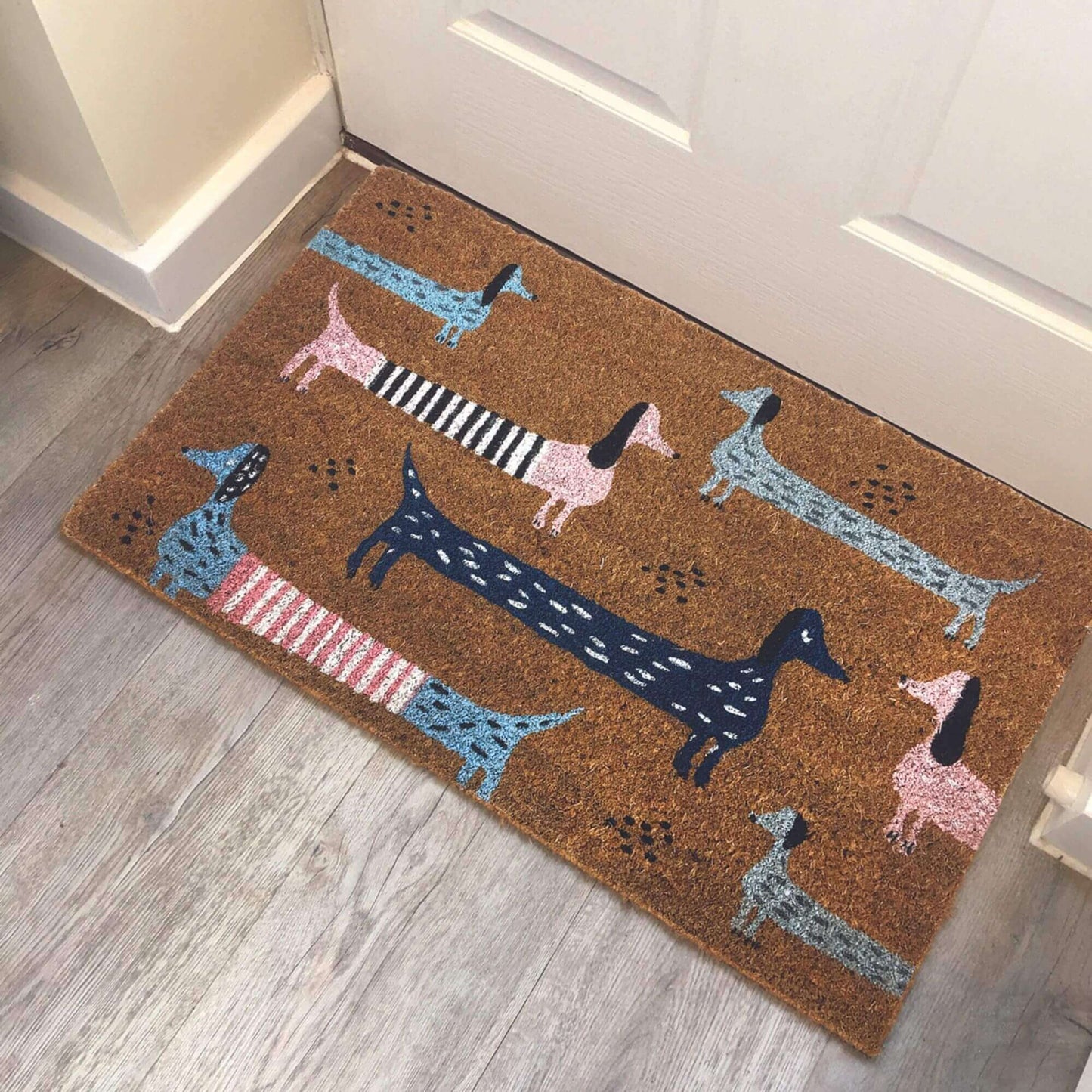 Coir Animal Mats 40x70 cm | 141