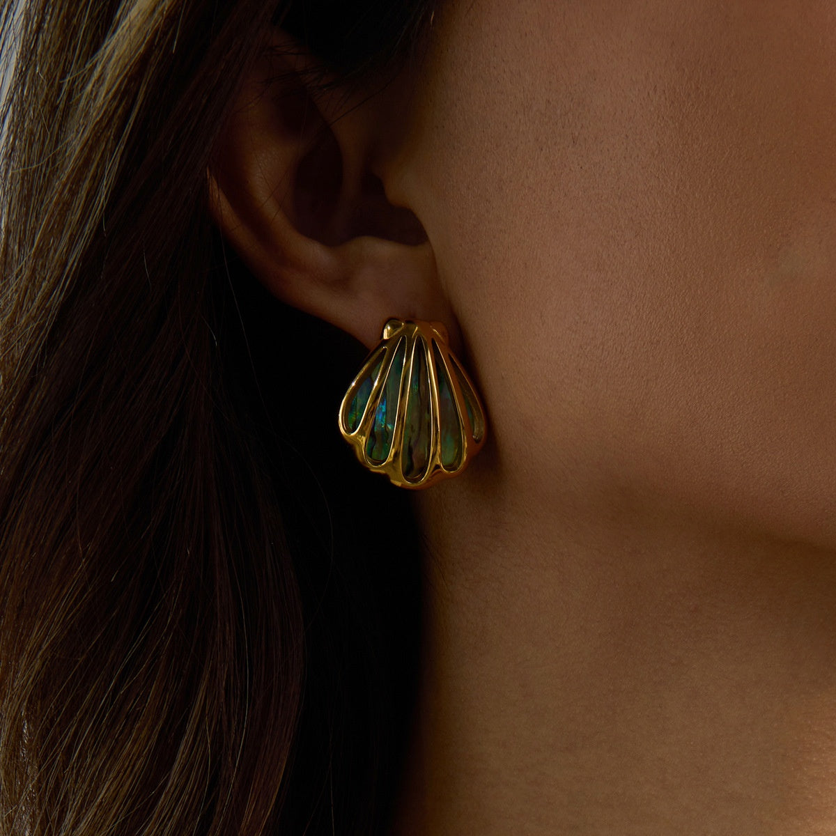 Abalone Shell Titanium Steel Necklace & Ear Stud Set