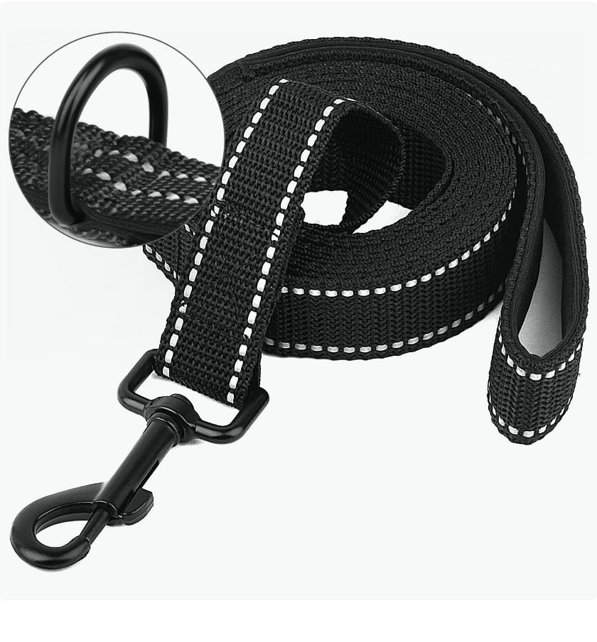 20 Meter Long Lead