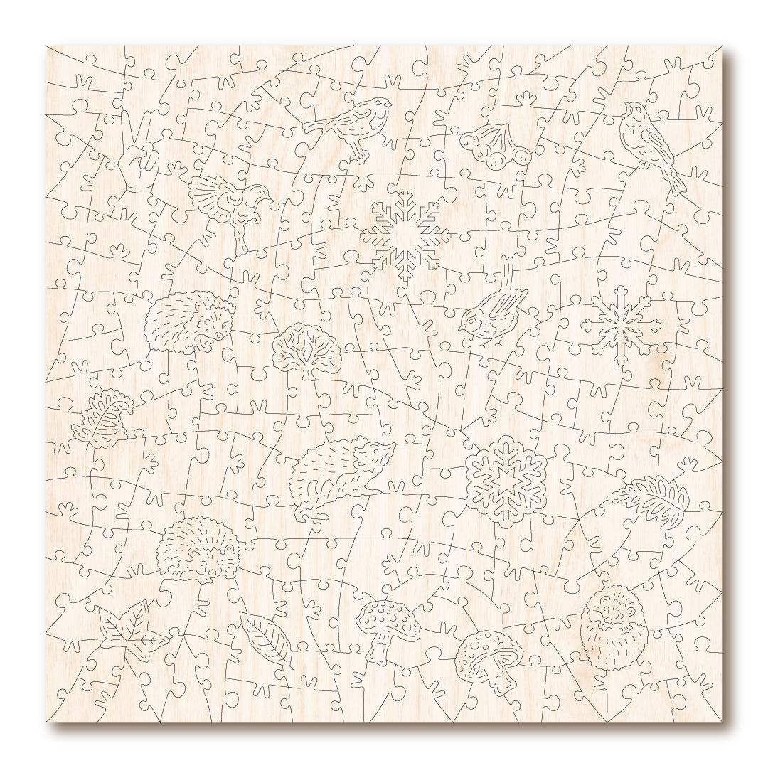 Snowy Hedgehog & Robin