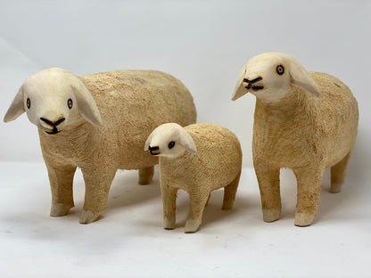 Swazi Sheep
