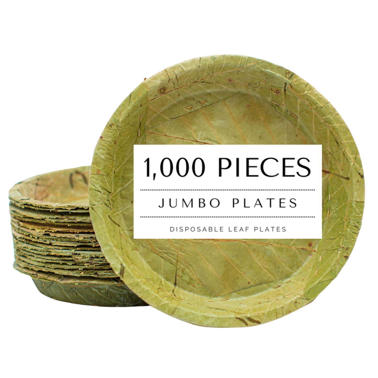 Extra Large Disposable Leaf Plates - 27cm / 10.5 inch diameter