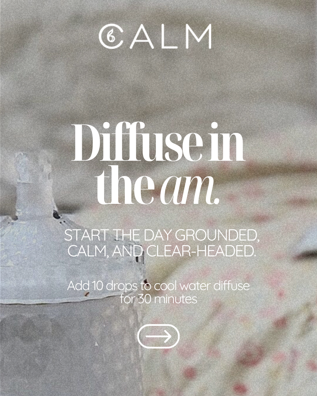 B Calm Studio Starter Bundle