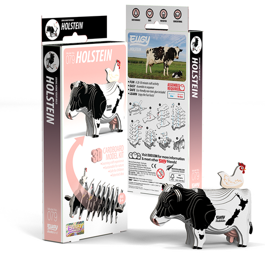 EUGY Holstein Friesian Cow