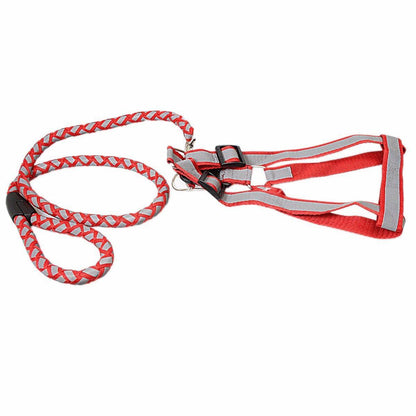 Step In Reflective Nylon Dog Harness with Leash Set