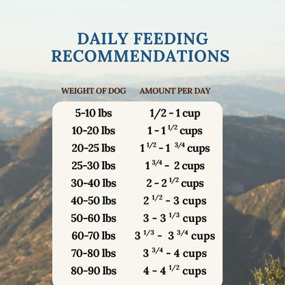 360 Pet Nutrition Freeze-Dried Raw Dog Food – Beef Recipe with Liver & Organs, Grain-Free, USA Made