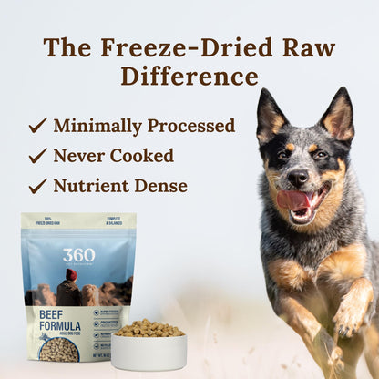 360 Pet Nutrition Freeze-Dried Raw Dog Food – Beef Recipe with Liver & Organs, Grain-Free, USA Made
