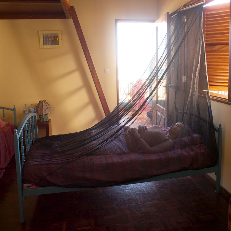 Lifesystems Expedition SoloNet Single Mosquito Net