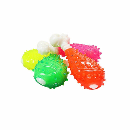 Durable Interactive Pet Dog Toy Chicken Bone for Healthy Playtime