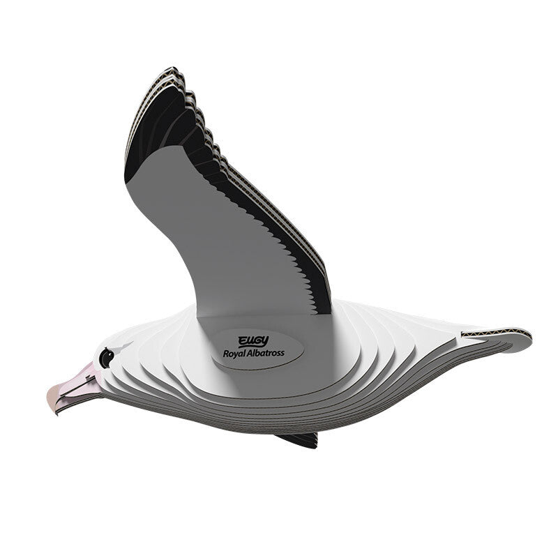 EUGY Royal Albatross