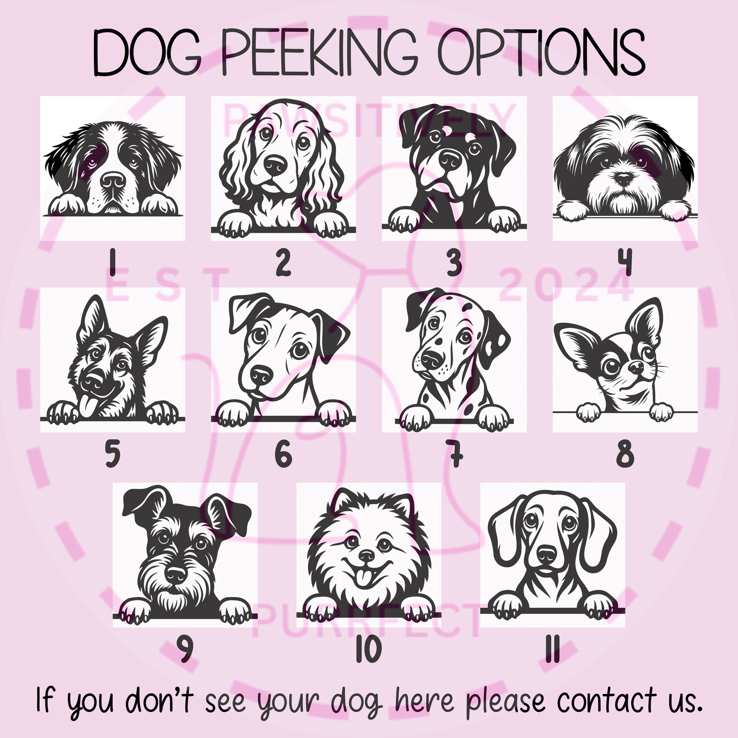 Womens Personalised Pet T Shirt For Humans