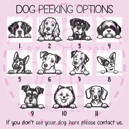 Womens Personalised Pet T Shirt For Humans