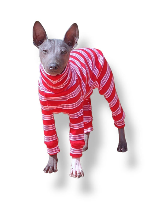 Ribbed Jersey Suit - Candy Cane