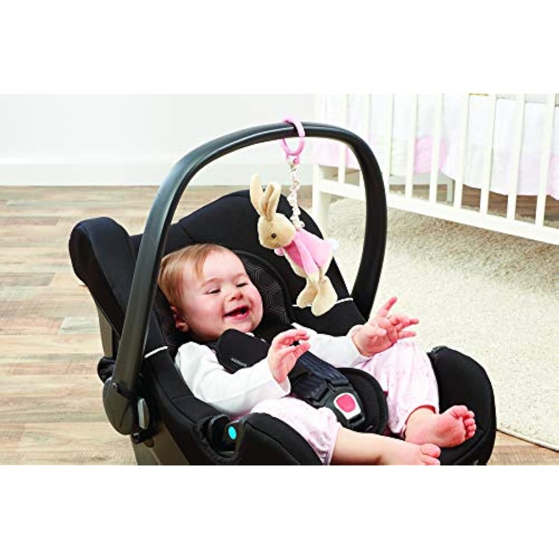 Rainbow Designs PO1452 Beatrix Potter Flopsy Jiggle Attachable Peter R ...