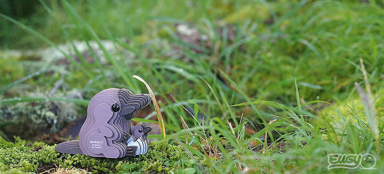 EUGY Platypus