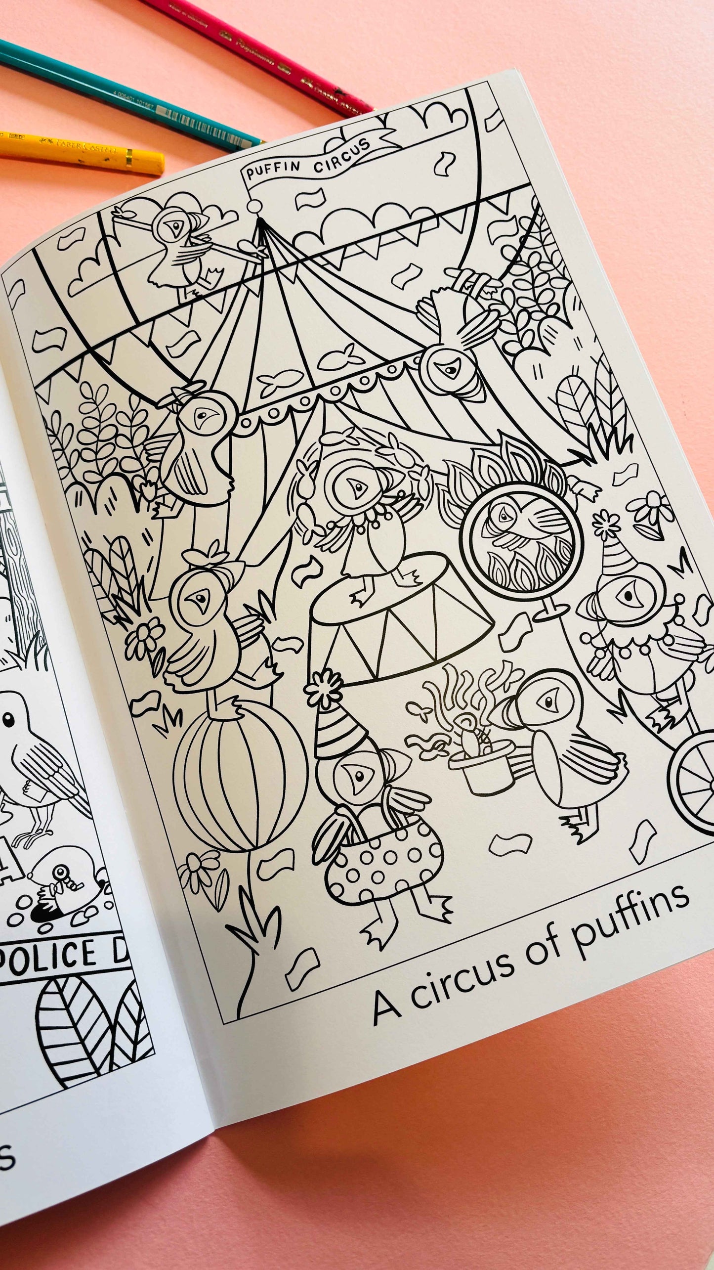 A crown of kingfishers: A collective noun colouring book