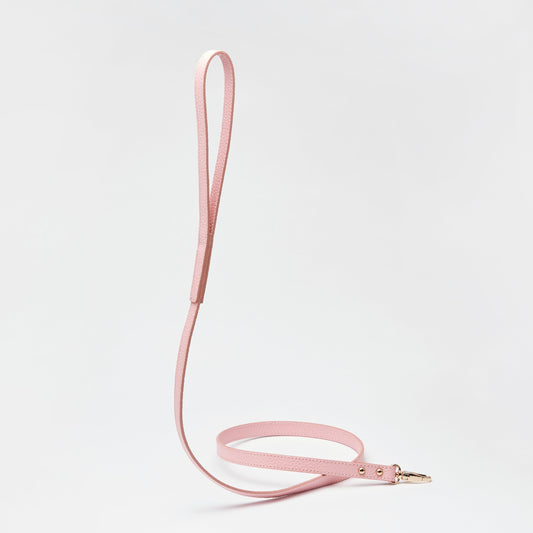 Leather Lead