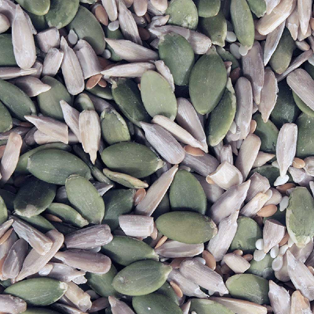 Omega Four Seed Mix