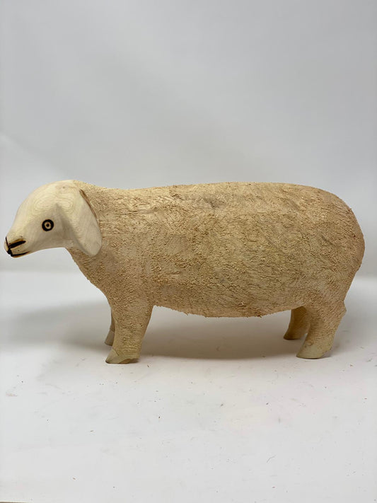 Swazi Sheep