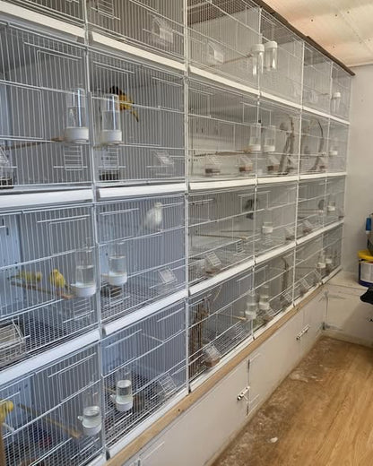 Wire Double Breeding Cage Positano 2GR 90cm or 120cm