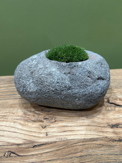 Indo Riverstone planted with Preserved Moss FR71