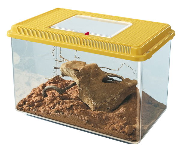 Geo Plastic Tank XLge Mixed Colours 35.6x23.4x22.8cm