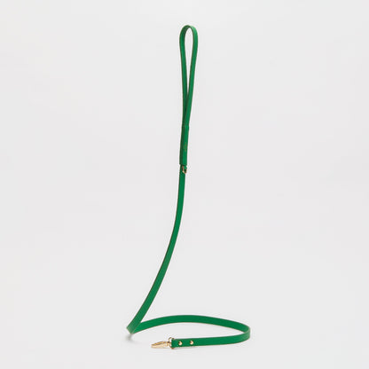 Leather Lead
