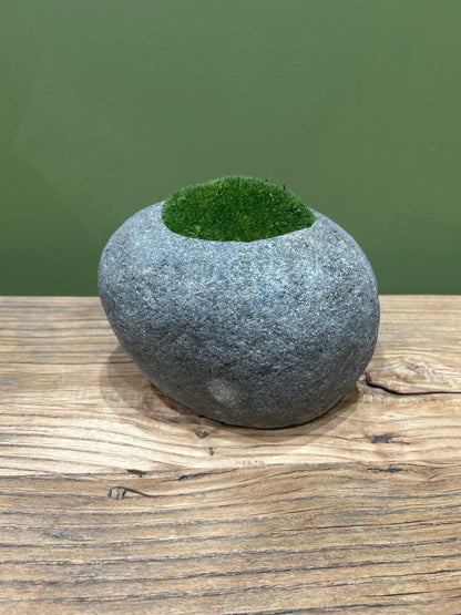Indo Riverstone planted with Preserved Moss FR68