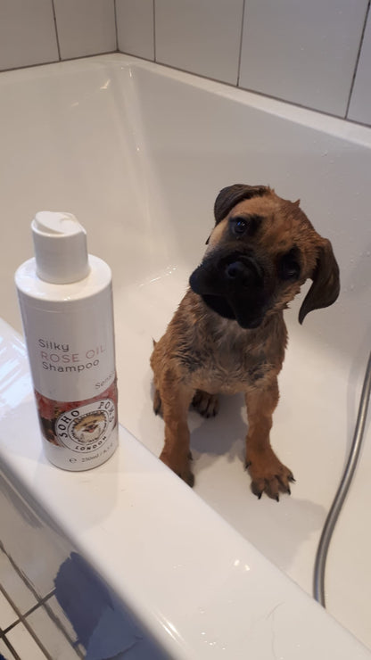 Rose Oil Dog Shampoo by SohoPoms - 250ml