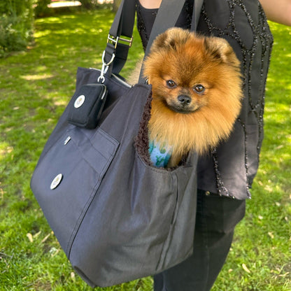 Midnight Black | Compton Dog Carrier