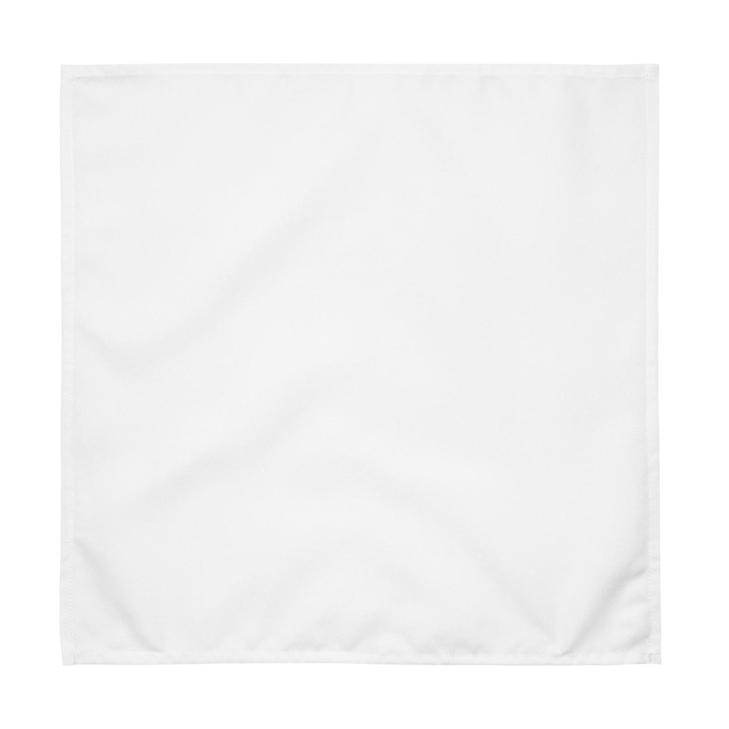 iSAW White Cloth Napkin Set - iSAW Company