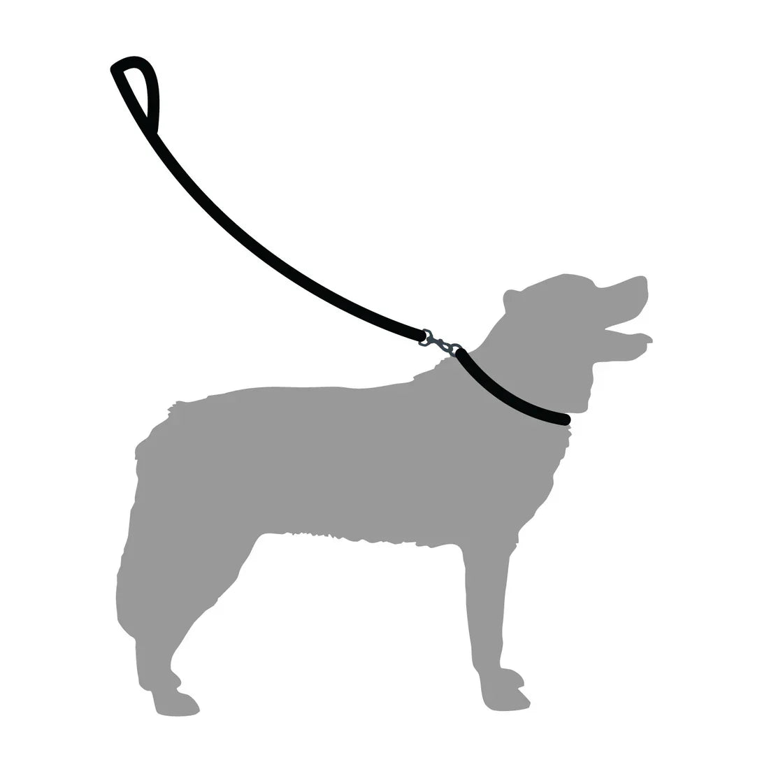 Mountain Paws Extra Tough Dog Lead - Navy
