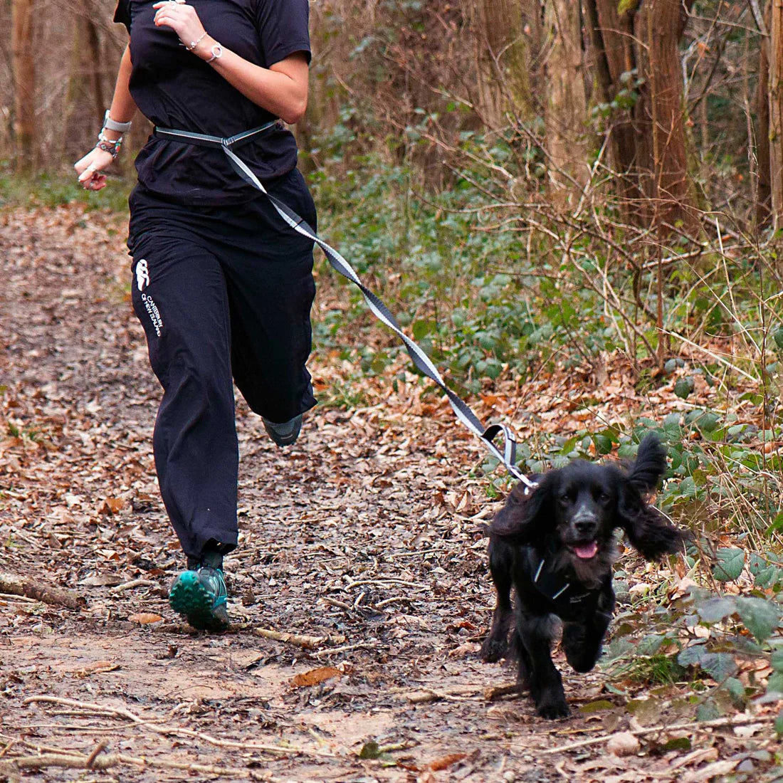 Mountain Paws Shock Absorber Dog Lead - Black