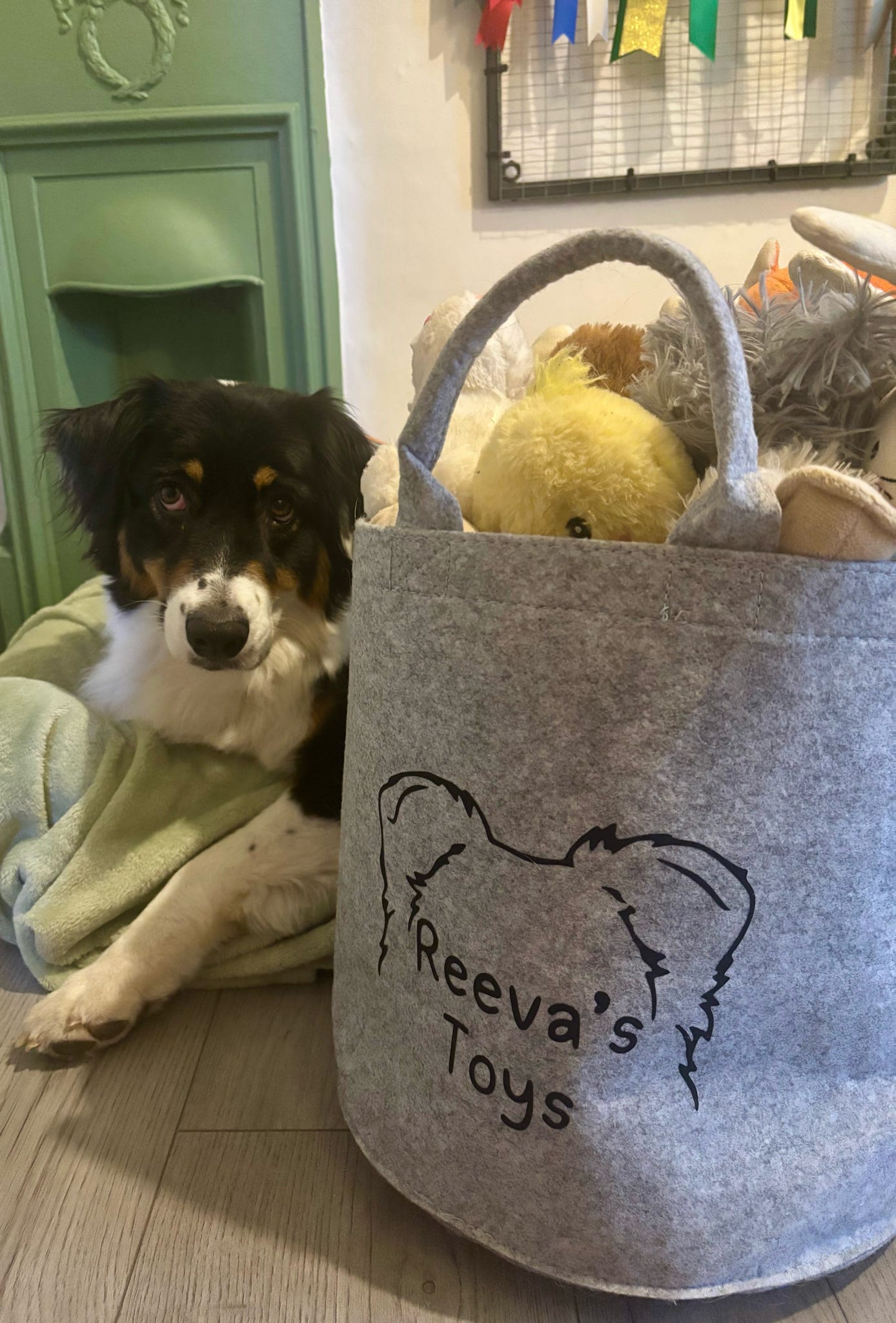 Personalised Pet Toy Bag