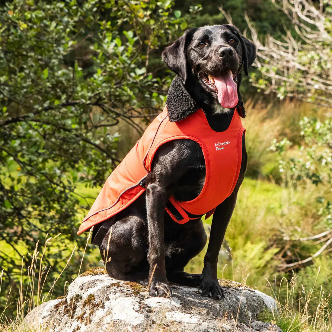 Mountain Paws Fleece Lined Waterproof Dog Coat - Orange