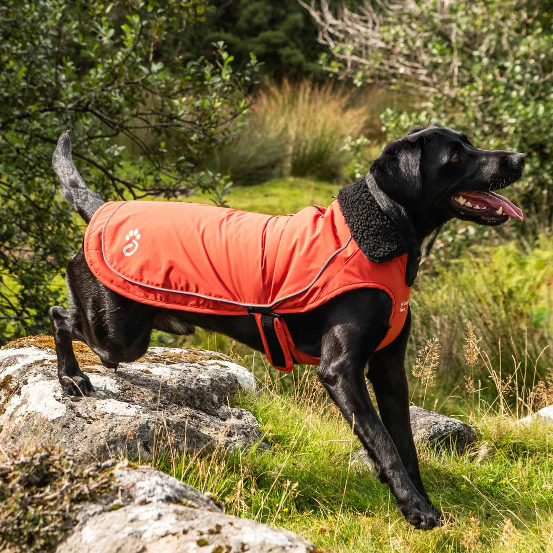 Mountain Paws Fleece Lined Waterproof Dog Coat - Orange