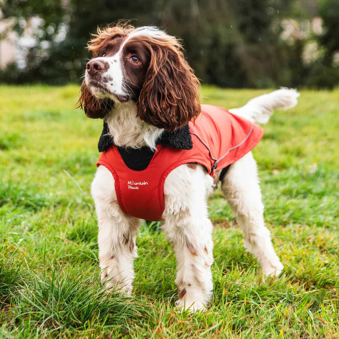 Mountain Paws Fleece Lined Waterproof Dog Coat - Orange