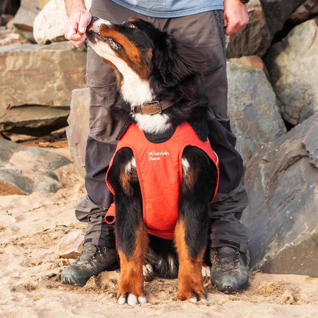 Mountain Paws Fleece Lined Waterproof Dog Coat - Orange