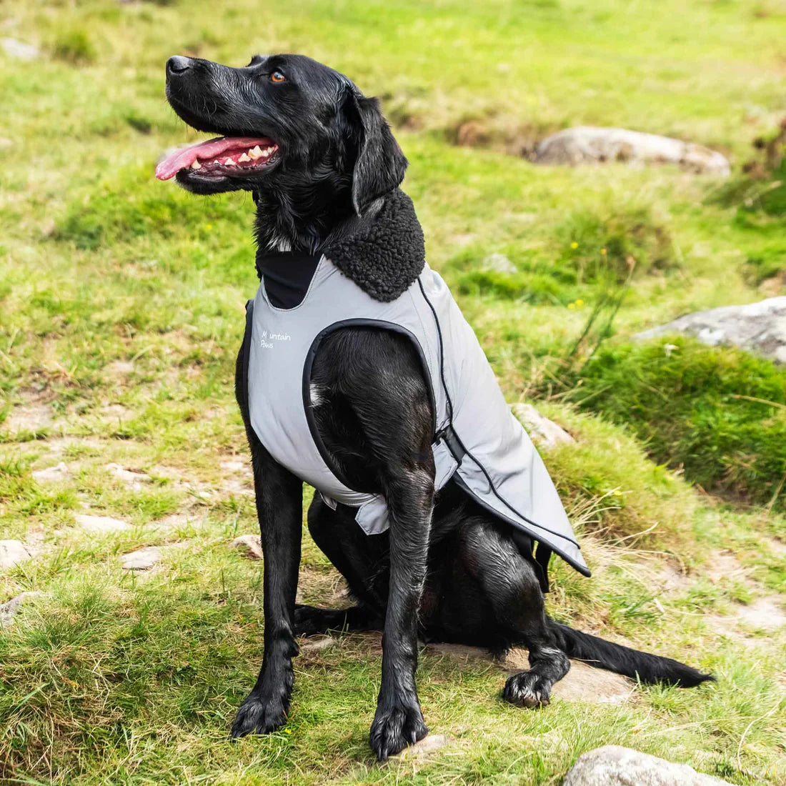Mountain Paws Fleece Lined Waterproof Dog Coat - Reflective