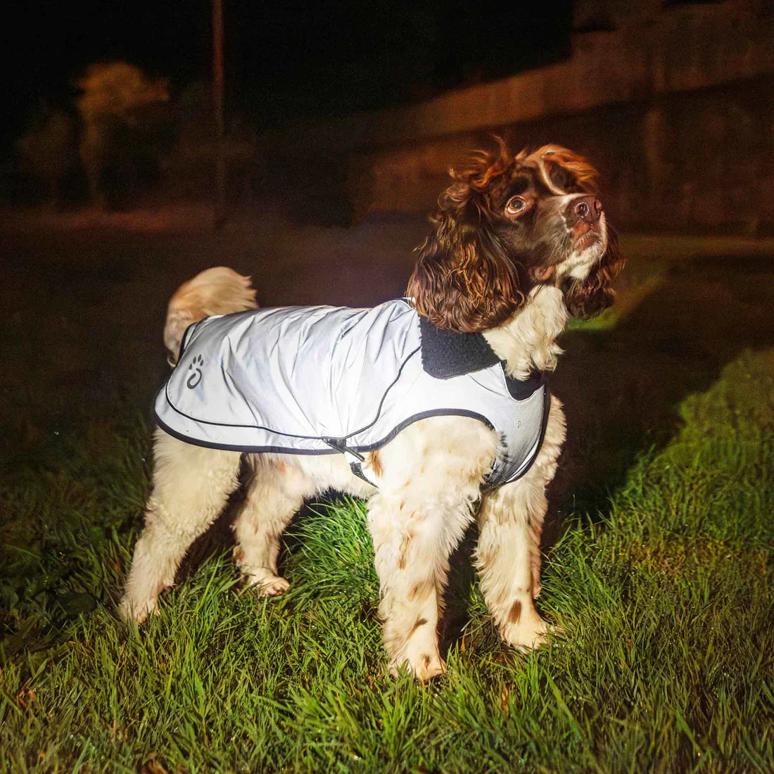 Mountain Paws Fleece Lined Waterproof Dog Coat - Reflective