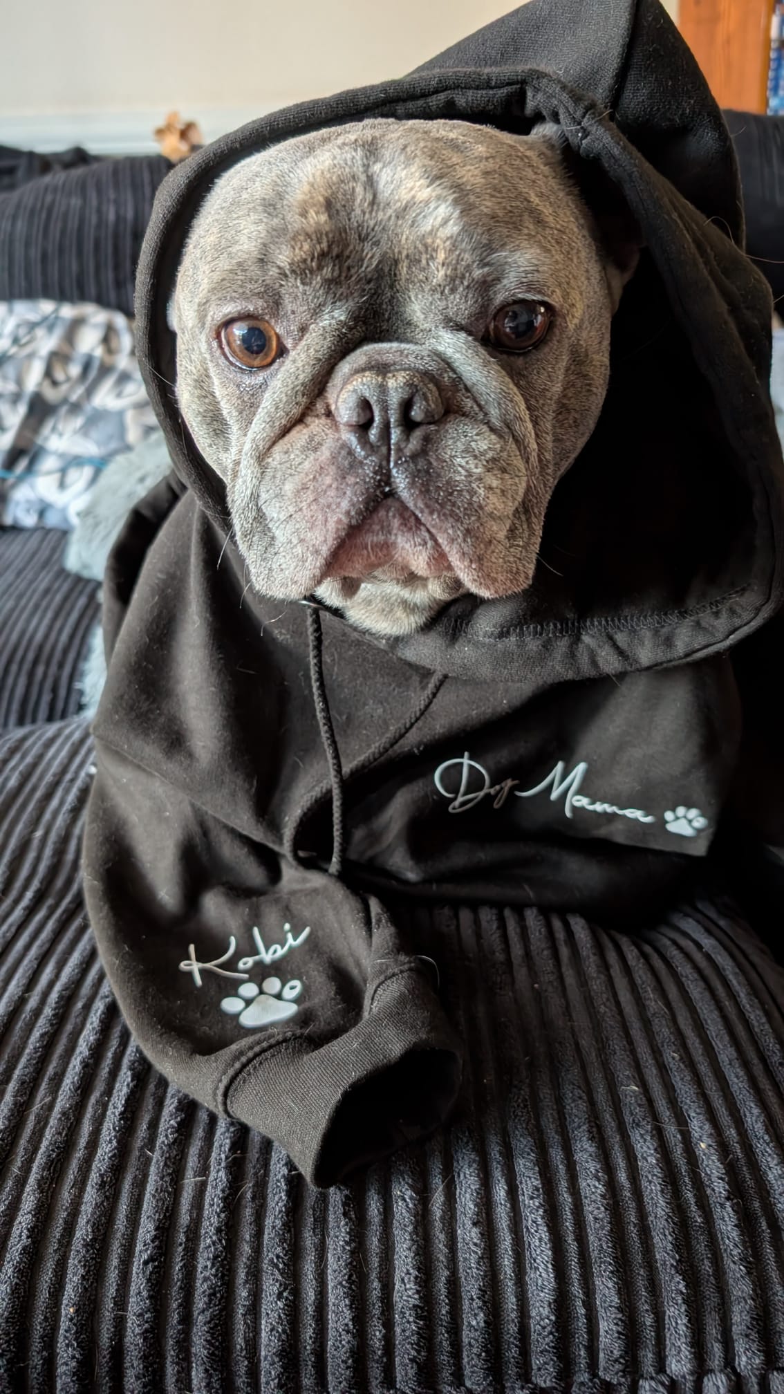 Unisex Personalised Pet Hoodie
