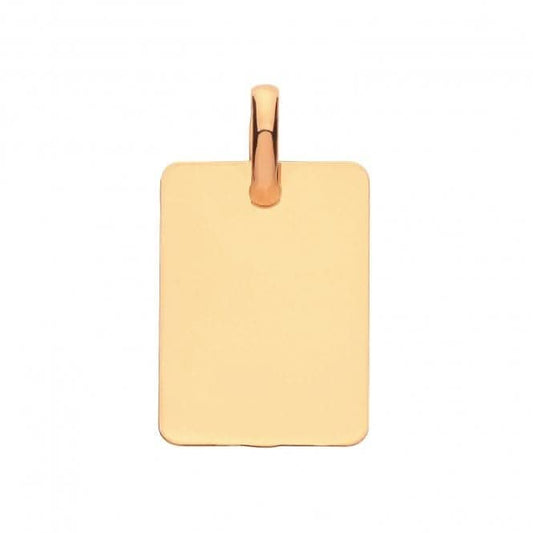 9ct Yellow Gold Rectangular Plain Pendant PN1076