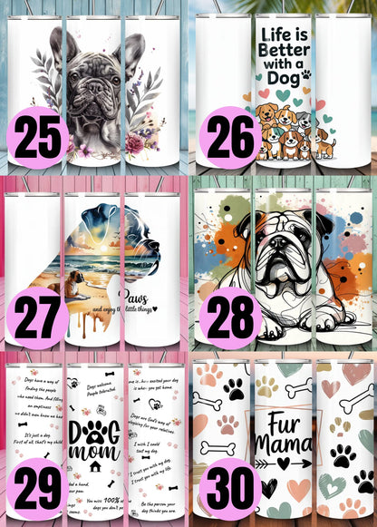 Pawsitively Purrfect | Personalised Gifts | Bundle 4