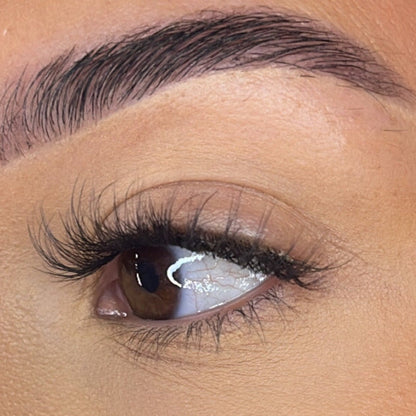 Preglued Lash Clusters -  Faff Lash - Ava