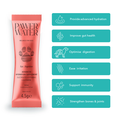 Pawer Water Gut Support (5-sticks Pouch)