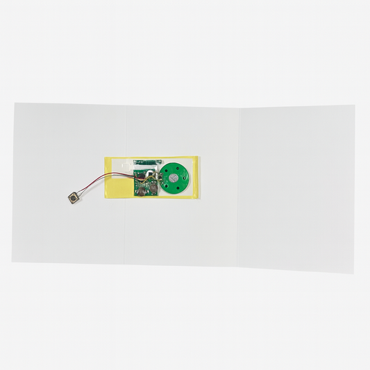 5 x A5 Blank Greeting Cards Made for Audio Modules (Modules Not Included) Stella Weds