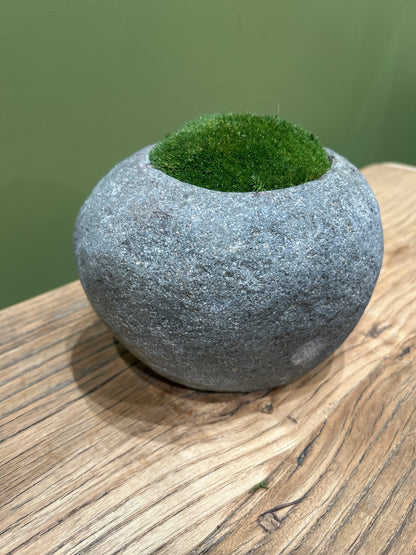 Indo Riverstone planted with Preserved Moss FR68